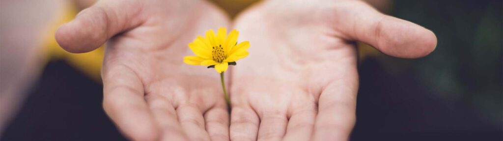 Relationship counselling - Kelowna